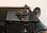 gebrauchte Schreckschusspistole Walther Mod. PP 9mm P.A.K.